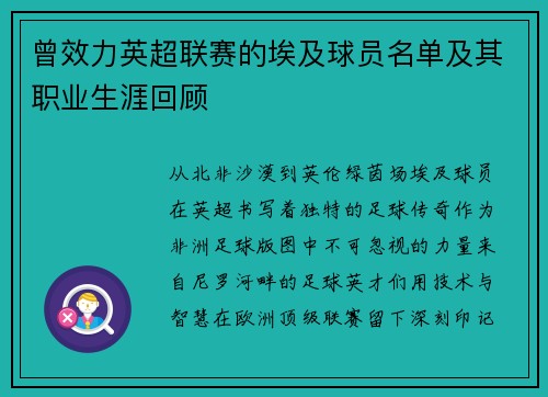 曾效力英超联赛的埃及球员名单及其职业生涯回顾
